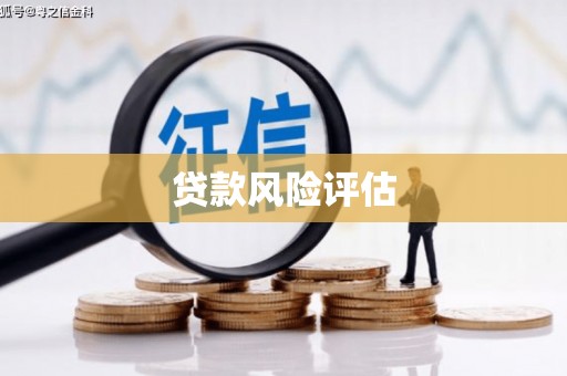 乡城贷款风险评估