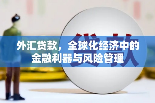 乡城外汇贷款，全球化经济中的金融利器与风险管理