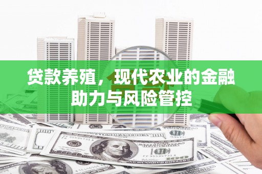 乡城贷款养殖，现代农业的金融助力与风险管控
