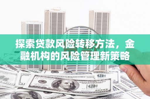 乡城探索贷款风险转移方法，金融机构的风险管理新策略