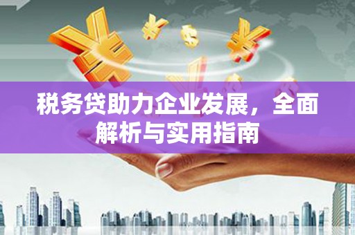 乡城税务贷助力企业发展，全面解析与实用指南