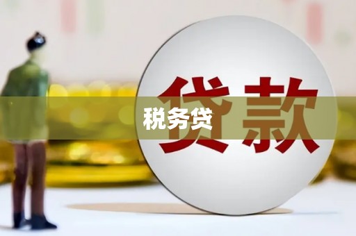 乡城税务贷