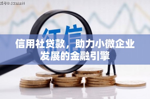 乡城信用社贷款，助力小微企业发展的金融引擎