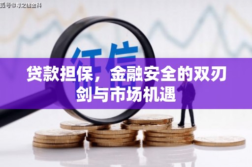 乡城贷款担保，金融安全的双刃剑与市场机遇