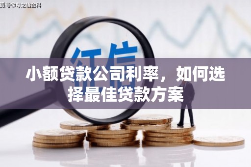 乡城小额贷款公司利率，如何选择最佳贷款方案