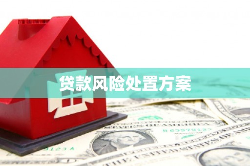 乡城贷款风险处置方案