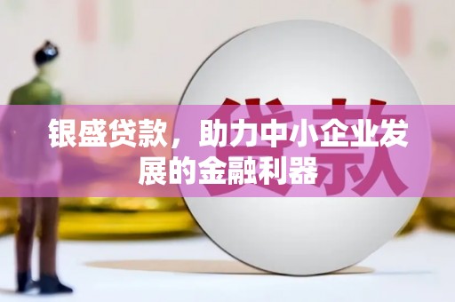 乡城银盛贷款，助力中小企业发展的金融利器
