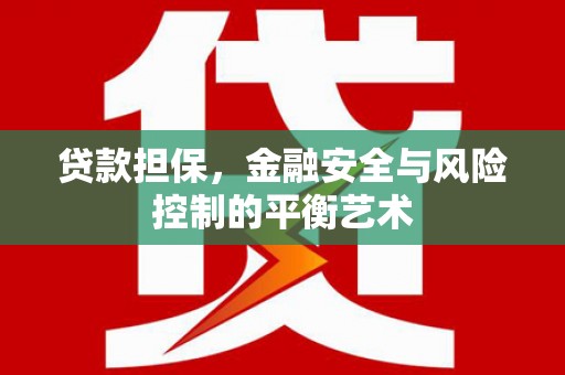 乡城贷款担保，金融安全与风险控制的平衡艺术