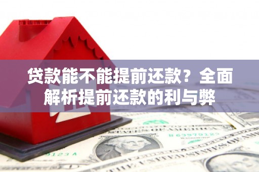 乡城贷款能不能提前还款？全面解析提前还款的利与弊