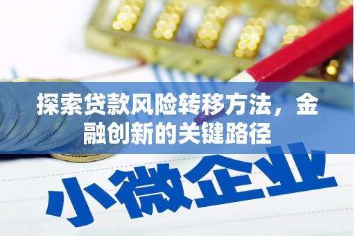 乡城探索贷款风险转移方法，金融创新的关键路径