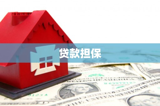 乡城贷款担保