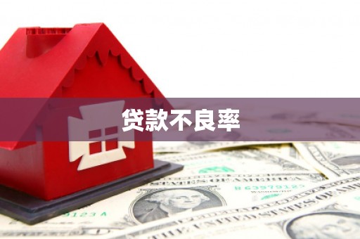 乡城贷款不良率
