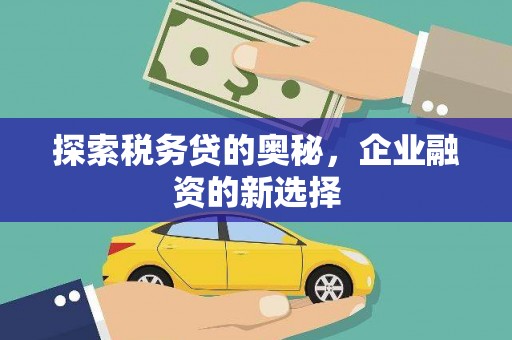 乡城探索税务贷的奥秘，企业融资的新选择