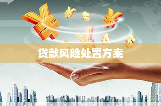 乡城贷款风险处置方案