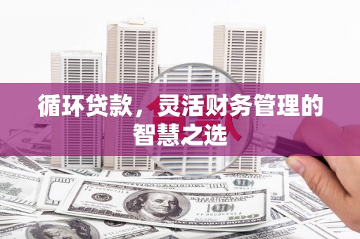 乡城循环贷款，灵活财务管理的智慧之选
