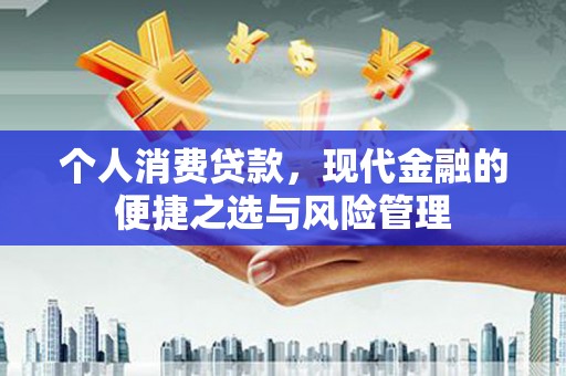 乡城个人消费贷款，现代金融的便捷之选与风险管理