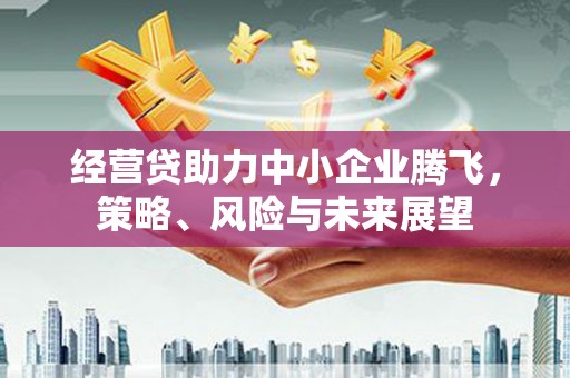 乡城经营贷助力中小企业腾飞，策略、风险与未来展望