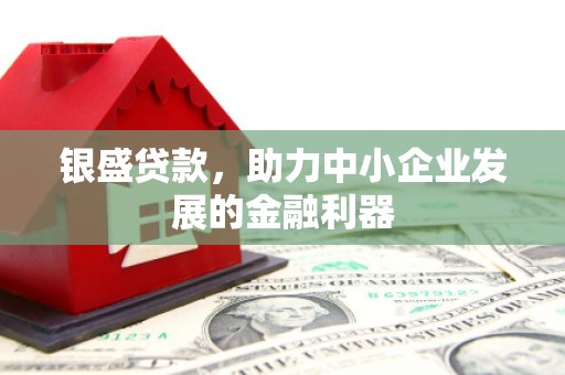 乡城银盛贷款，助力中小企业发展的金融利器