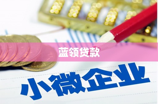 乡城蓝领贷款