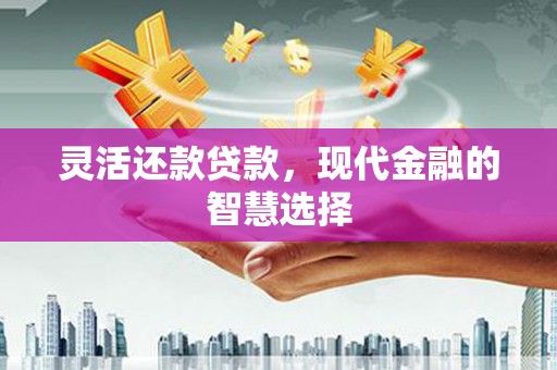 乡城灵活还款贷款，现代金融的智慧选择