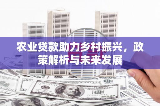 乡城农业贷款助力乡村振兴，政策解析与未来发展