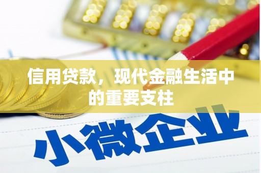 乡城信用贷款，现代金融生活中的重要支柱