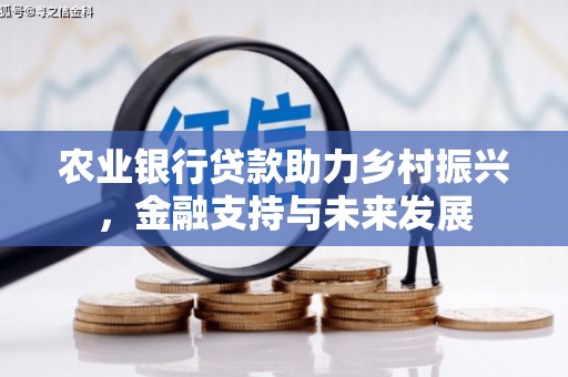 乡城农业银行贷款助力乡村振兴，金融支持与未来发展