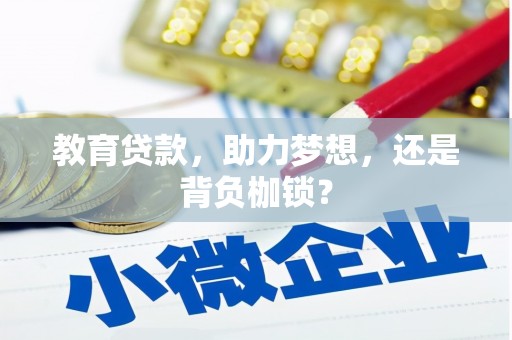 乡城教育贷款，助力梦想，还是背负枷锁？