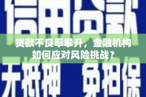 乡城贷款不良率攀升，金融机构如何应对风险挑战？