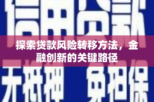 乡城探索贷款风险转移方法，金融创新的关键路径