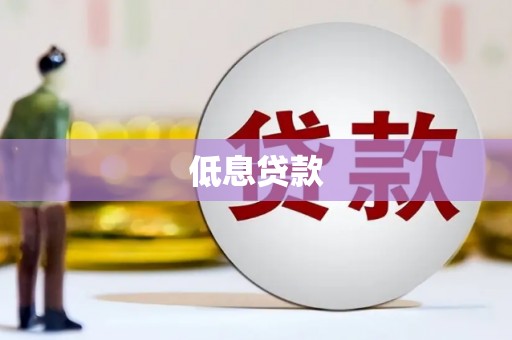 乡城低息贷款