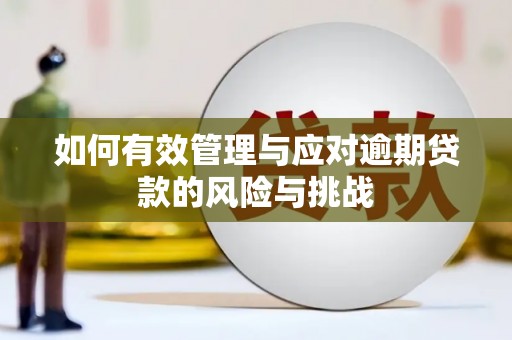 乡城如何有效管理与应对逾期贷款的风险与挑战