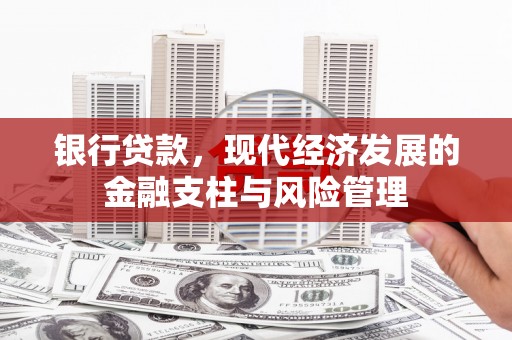 乡城银行贷款，现代经济发展的金融支柱与风险管理