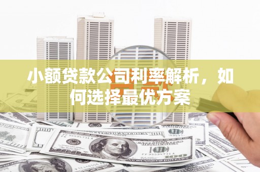 乡城小额贷款公司利率解析，如何选择最优方案