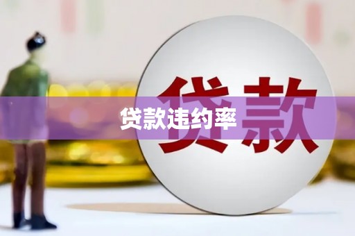 乡城贷款违约率