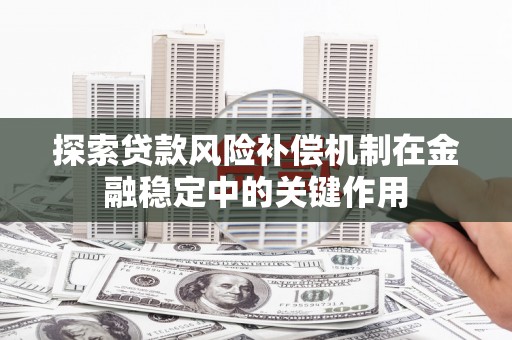乡城探索贷款风险补偿机制在金融稳定中的关键作用