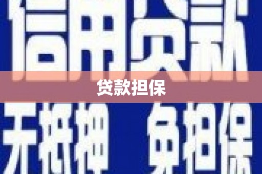 乡城贷款担保