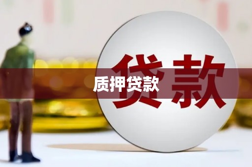 乡城质押贷款