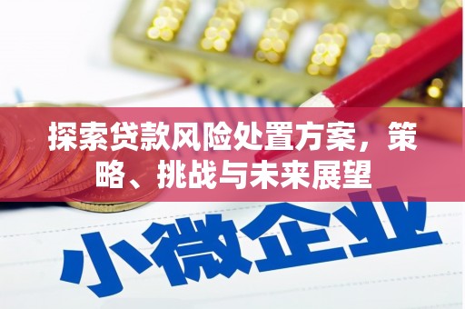 乡城探索贷款风险处置方案，策略、挑战与未来展望