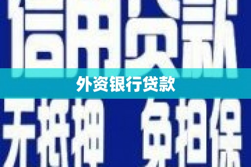 乡城外资银行贷款