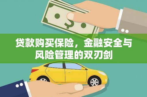 乡城贷款购买保险，金融安全与风险管理的双刃剑