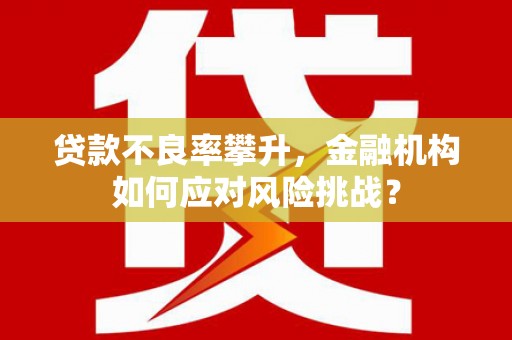 乡城贷款不良率攀升，金融机构如何应对风险挑战？