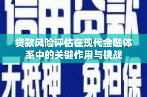 乡城贷款风险评估在现代金融体系中的关键作用与挑战
