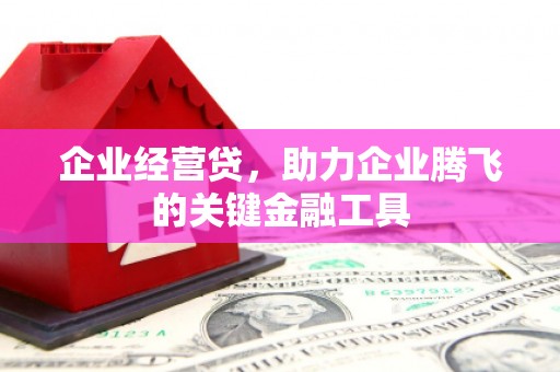 乡城企业经营贷，助力企业腾飞的关键金融工具