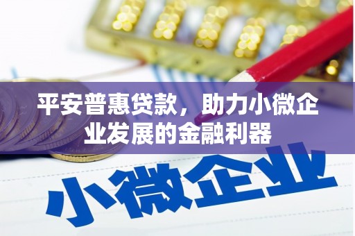 乡城平安普惠贷款，助力小微企业发展的金融利器