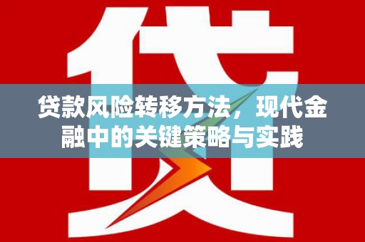 乡城贷款风险转移方法，现代金融中的关键策略与实践