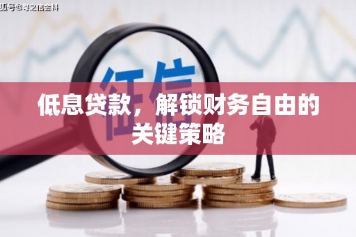 乡城低息贷款，解锁财务自由的关键策略