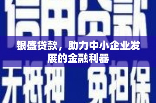乡城银盛贷款，助力中小企业发展的金融利器