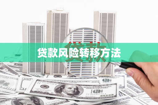 乡城贷款风险转移方法