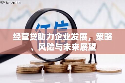 乡城经营贷助力企业发展，策略、风险与未来展望